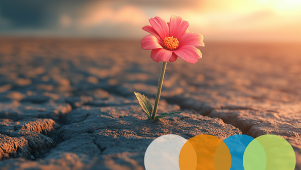 Webinar Resilienza Proattiva